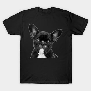 Black and White French Bulldog T-Shirt